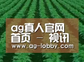 种植基地六(图1)