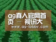 种植基地六