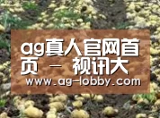 种植基地七