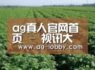 种植基地五