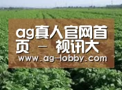 种植基地五(图1)