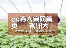 种植基地三