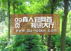 种植基地九