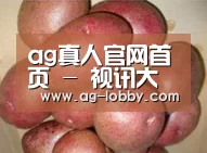产品展示标题1