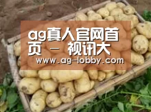 产品展示标题3