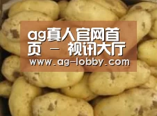 产品展示标题6