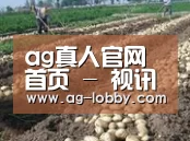 种植基地八
