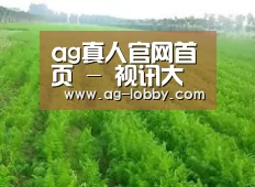 种植基地四