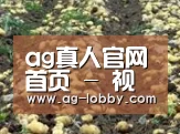 种植基地八(图1)