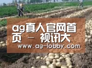 种植基地七(图1)