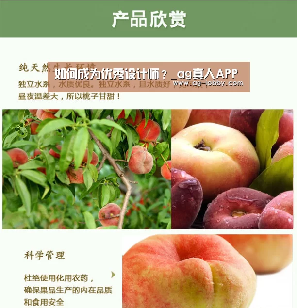 如何成为优秀设计师?_ag真人APP(图3) ag真人APP