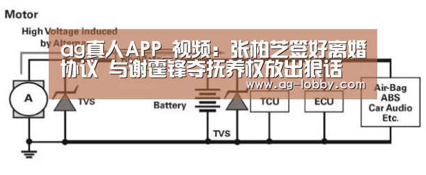 ag真人APP_视频:张柏芝签好离婚协议 与谢霆锋夺抚养权放出狠话(图2) ag真人厅下载