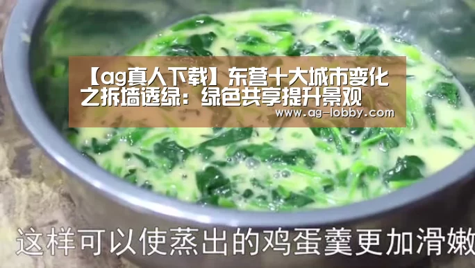 【ag真人下载】东营十大城市变化之拆墙透绿:绿色共享提升景观(图2) ag真人下载